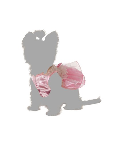 Princess Dog Costume Size L: Turn Your Four-Legged Friend into a Ruler
